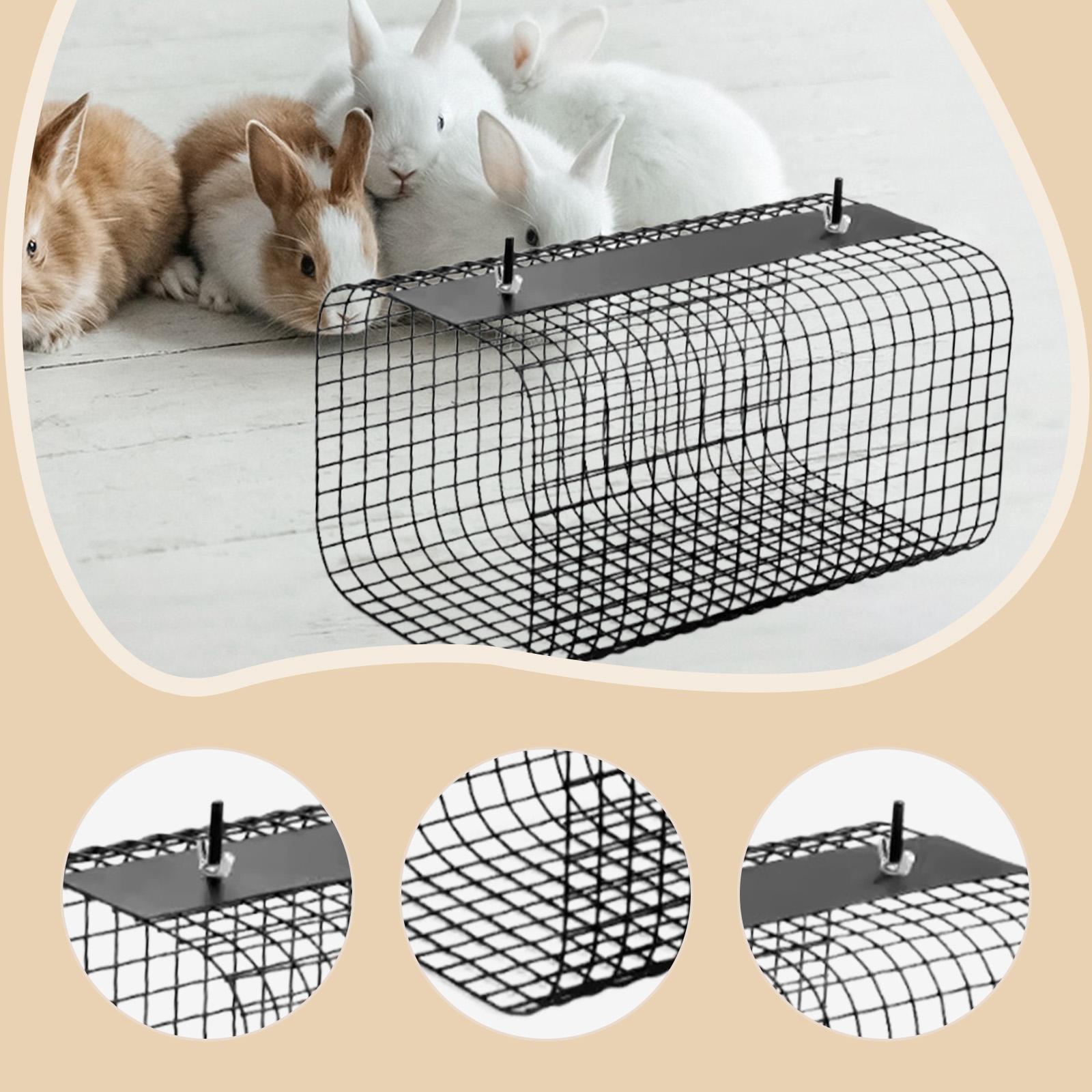 Terowongan Hamster Ferret, Tem - Rabbit Cage Wire ulasan dan harga