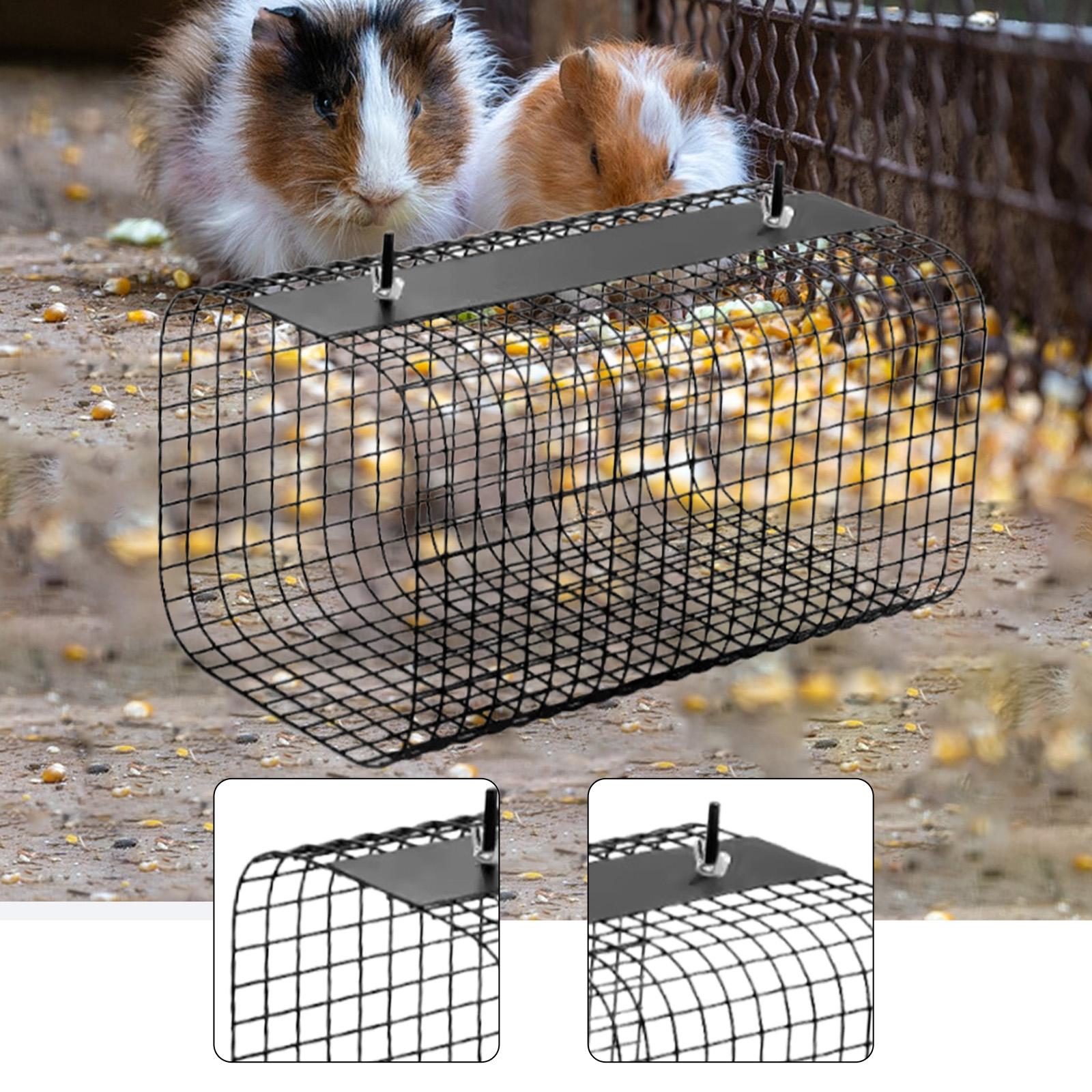 Terowongan Hamster Ferret, Tem - Rabbit Cage Wire ulasan dan harga