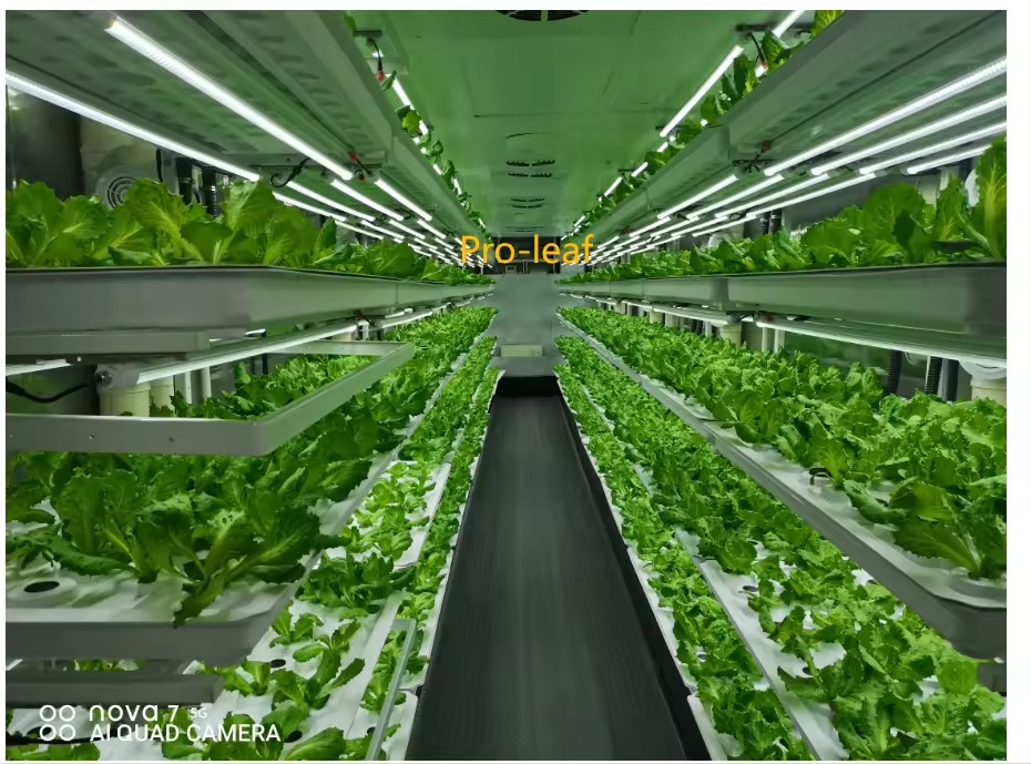 Peralatan Pertanian Rumah Kaca - Agriculture Farming System ulasan dan harga