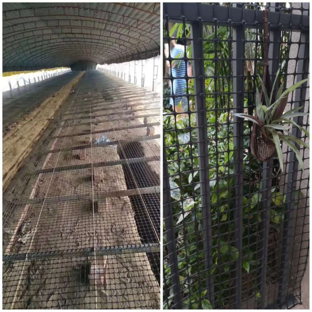 Jaring Kasa Plastik Hitam Anti - Rabbit Cage Wire ulasan dan harga